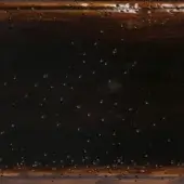 MI 01 SFUMATO NERO
